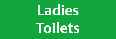 Ladies Toilets Door Sign 300x100 Correx