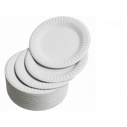 Disposable Paper Plates (pk-100) - 23cm