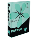 Papago Pastel Green A4 80gsm-FG2180