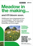 Wildflower meadow - Eden Project signage - A3 - Foamex