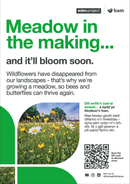 Wildflower meadow - Eden Project signage - A3 - Foamex