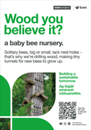 Bee post - Eden Project signage - A3 - Foamex