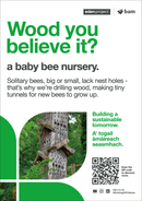 Bee post - Eden Project signage - A3 - Foamex