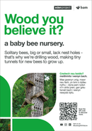 Bee post - Eden Project signage - A3 - Foamex