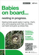 Nesting Bird area - Eden Project signage - A3 - Foamex