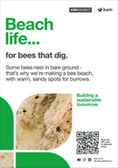 Bee beach  - Eden Project signage - A3 - Foamex