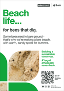 Bee beach  - Eden Project signage - A3 - Foamex