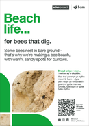 Bee beach  - Eden Project signage - A3 - Foamex