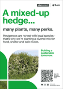 Native hedge  - Eden Project signage - A3 - Foamex