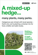 Native hedge  - Eden Project signage - A3 - Foamex