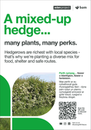 Native hedge  - Eden Project signage - A3 - Foamex