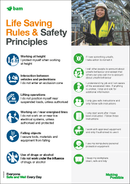 Life Saving Rules - Correx