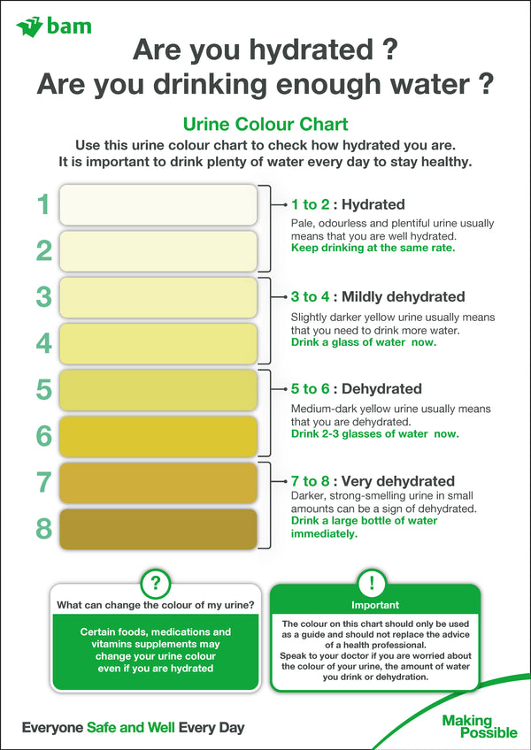 Are you Hydrated 420 x 594mm Correx