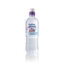 Radnor Splash Wtr F/Fruit 500ml Pk24-3952872