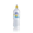Radnor Splash Wtr Lem/Lim 500ml Pk24-3953210