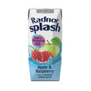 Radnor Splash Wtr Ap/Rasp 250ml Pk24-3956010