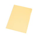 Cut Flush Folder A4 Pk100-1400713
