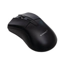 Wireless Optical Mouse-6011281